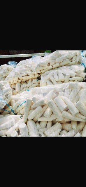 Premium Frozen Cassava Root - Image 1